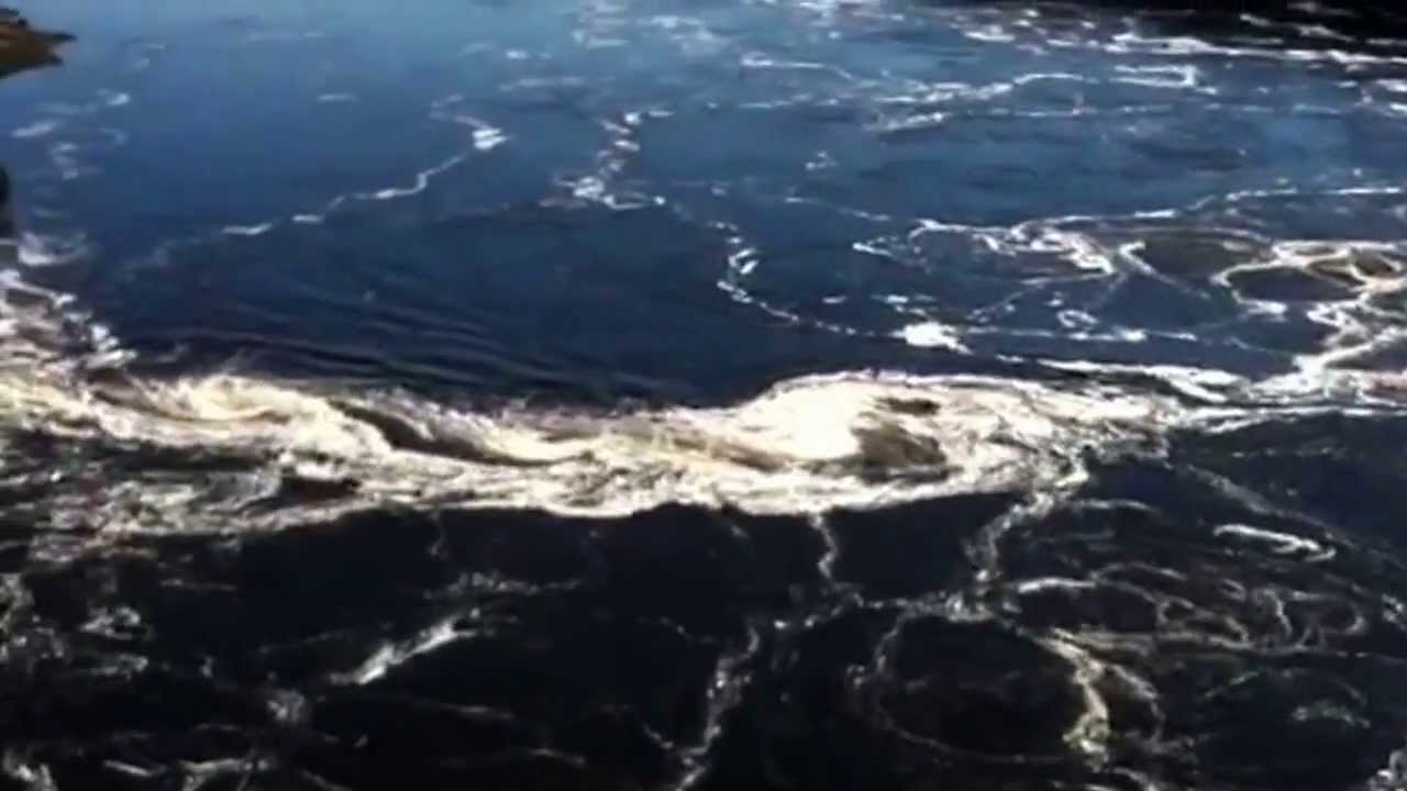 Bay of Fundy Whirlpool