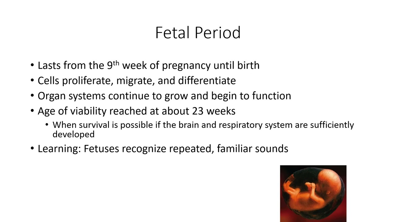 Heredity, Prenatal Development, and Birth