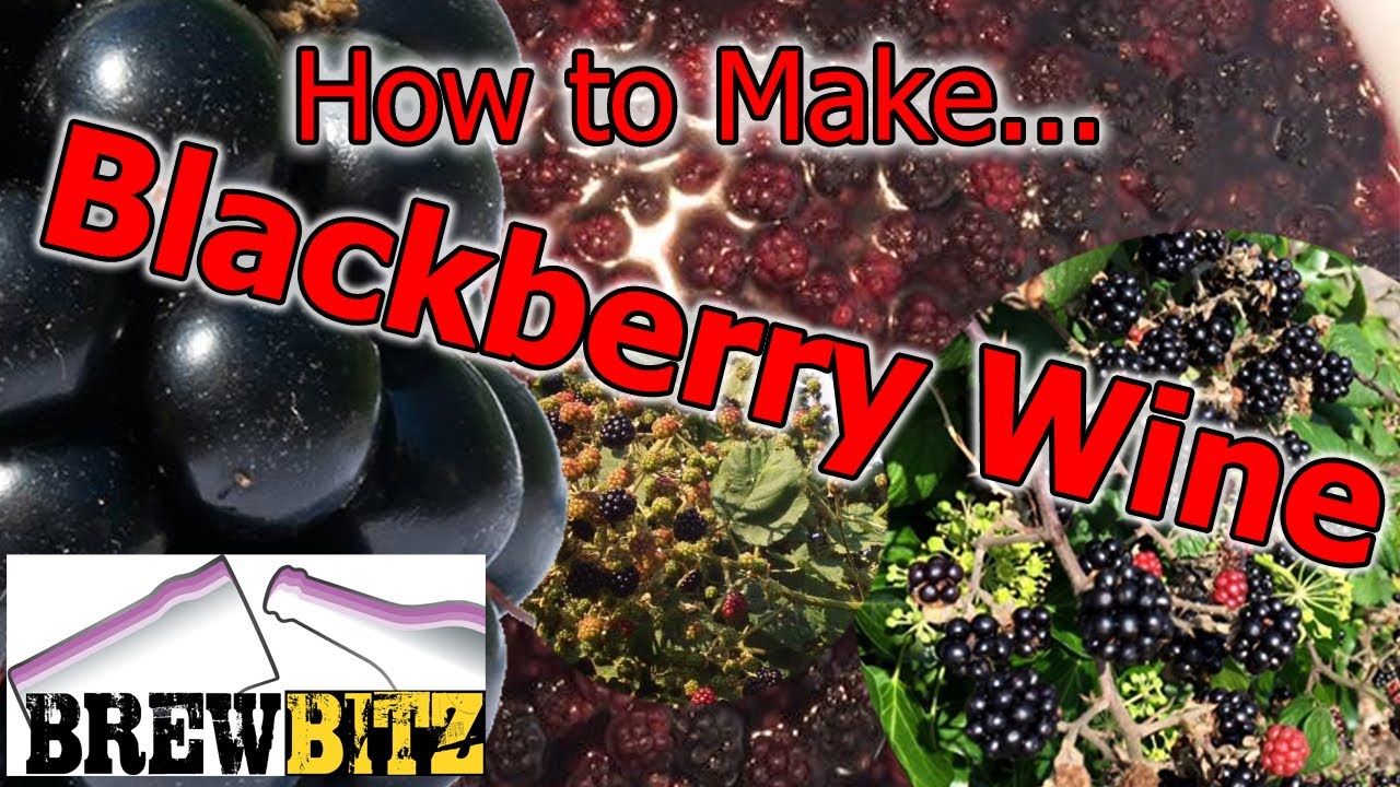 How to Make Blackberry Wine by Brewbitz Homebrew Shop