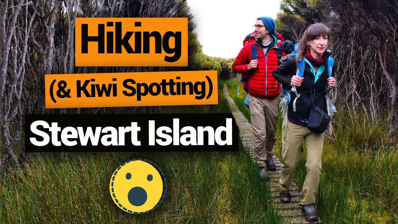🥾 Hiking in Stewart Island (& Kiwi Spotting) –  New Zealand's Biggest Gap Year