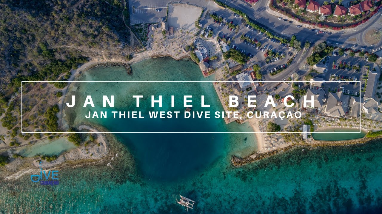 Jan Thiel Beach Dive Site in Curacao | Curacao Dive Guide | Dive Travel Curacao