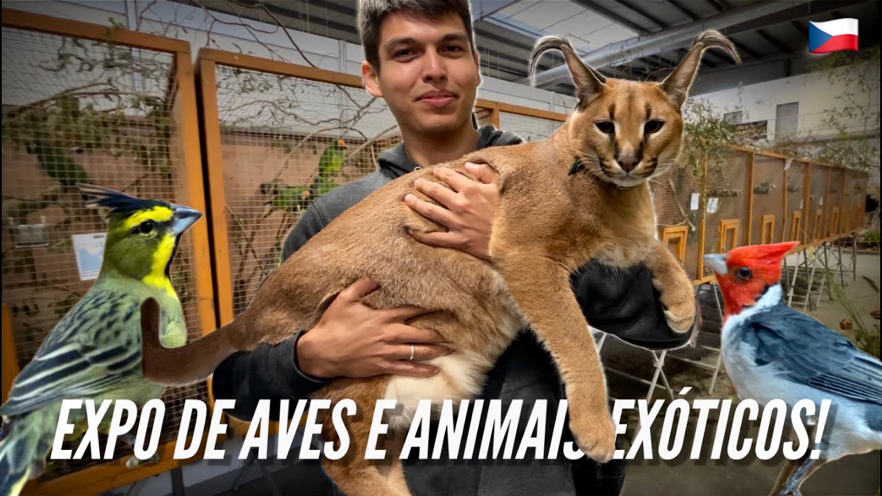 VISITANDO A MAIOR EXPO DE ANIMAIS EXÓTICOS DA REPÚBLICA TCHECA!￼