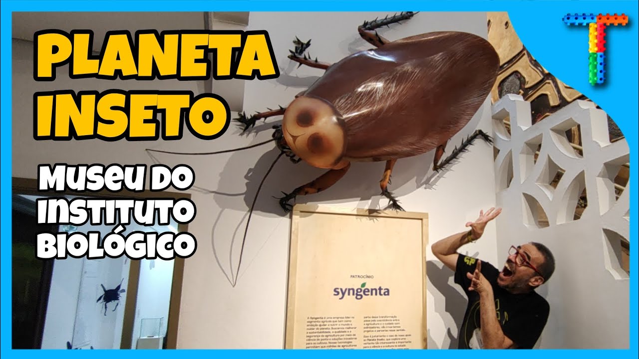 Conheça o Planeta Inseto do Museu do Instituto Biológico em São Paulo