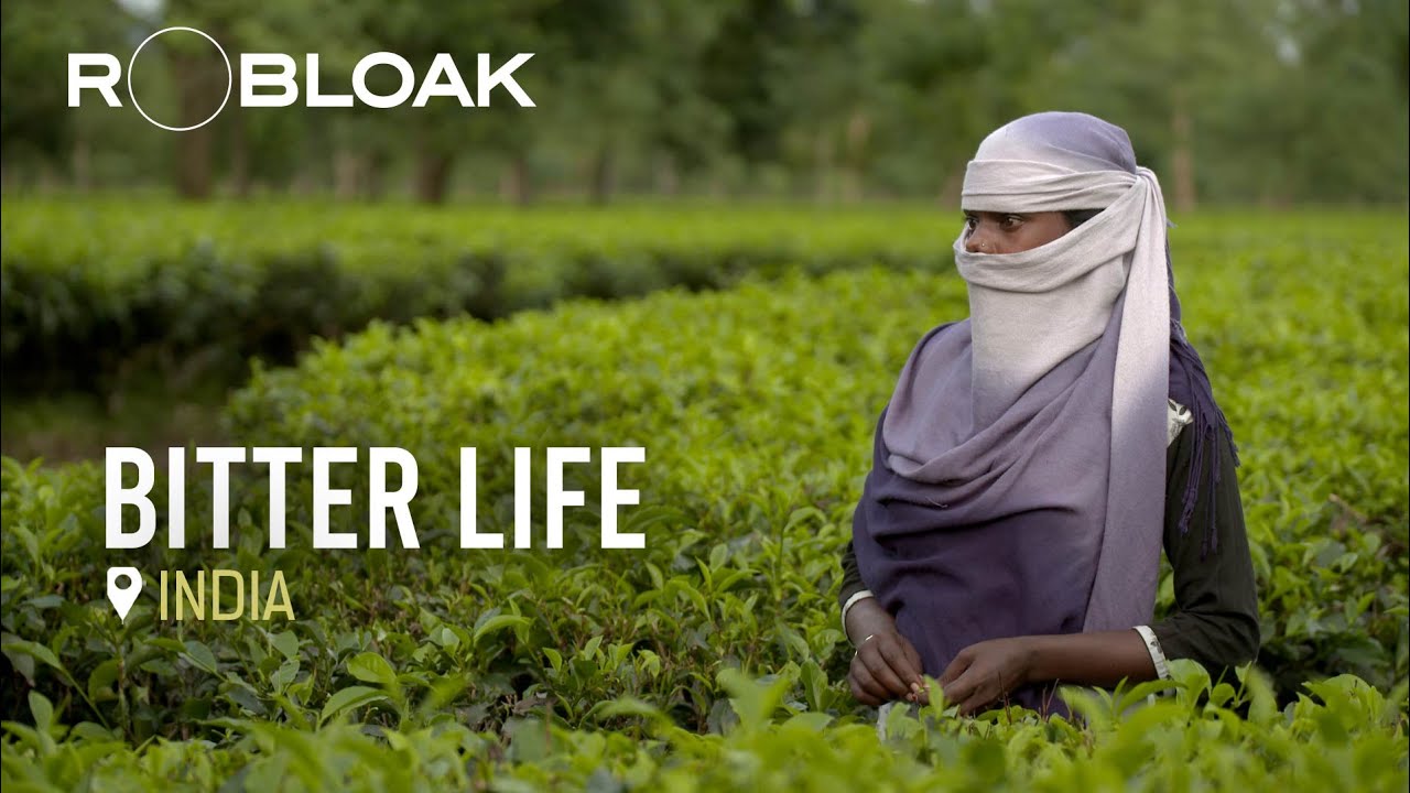 The Human Cost of Tea: India's Exploited Plantation Workers.