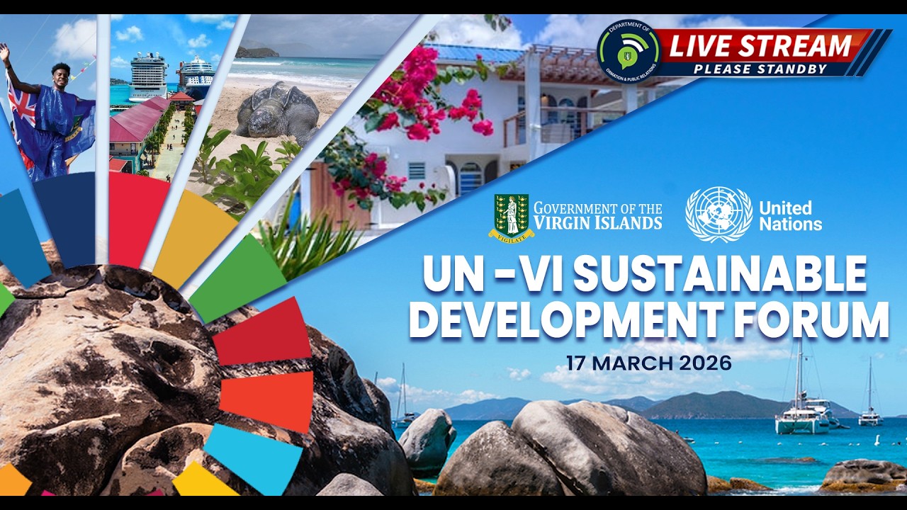 UN-VI Sustainable Development Forum