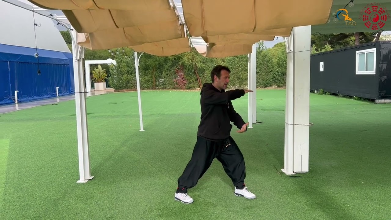 La sfera: tecnica base del Tai Chi Chuan