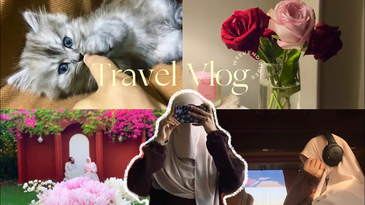  أجواء إسكندرية الشتوية ، لحظات دافية vlog | ديسمبر ٢٠٢٥