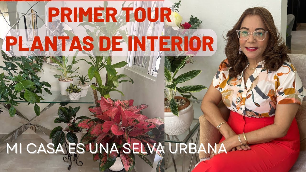 TOUR PLANTAS DE INTERIOR! Mi casa es una SELVA URBANA! Te la muestro #plantas#jardín#tour#