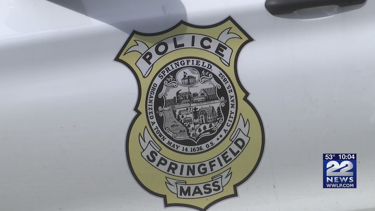 Document into Springfield Police excess force investigation released by DA