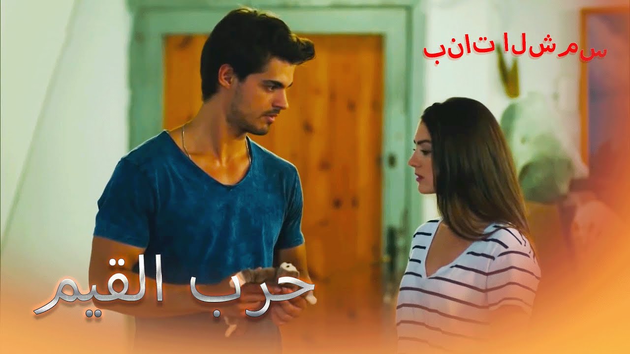 أراد أن يقدم هدية لسافاش بنات الشمس الجزء 8