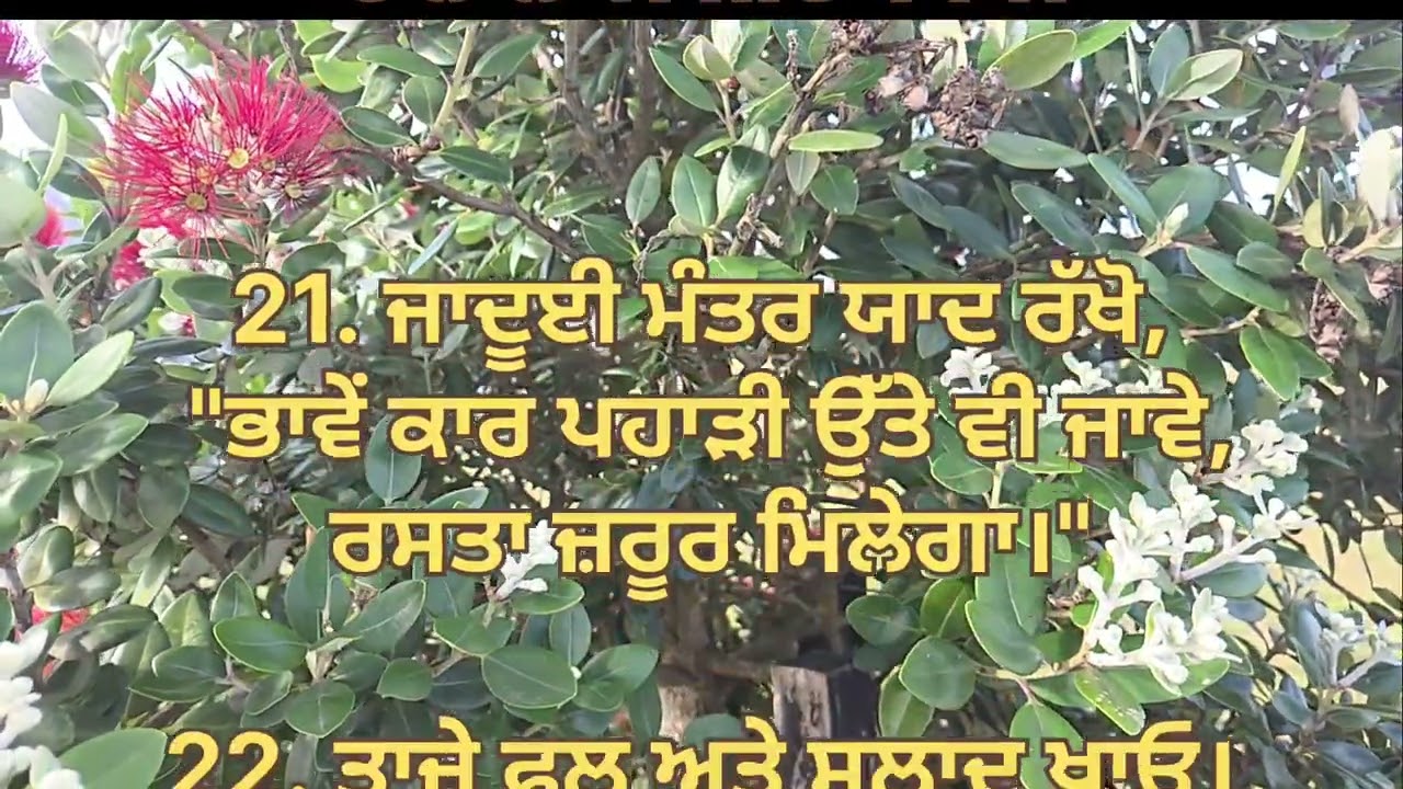 ਬਜੁਰਗਾਂ ਲਈ ਨਿਯਮ 👍
