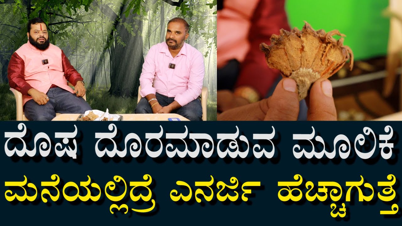 ಈ ಮೂಲಿಕೆ ಮನೆಯಲ್ಲಿದ್ರೆ ದೋಷಗಳು ದೂರವಾಗುತ್ತೆ | ಯಾವೆಲ್ಲ ಸಮಸ್ಯೆಗಳಿಗೆ ಹೇಗೆ ಬಳಸಬೇಕು?