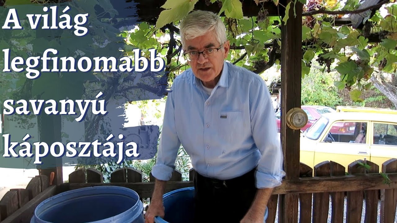 A világ legfinomabb savanyú káposztája készítése - Bumberák László, Kisvárda