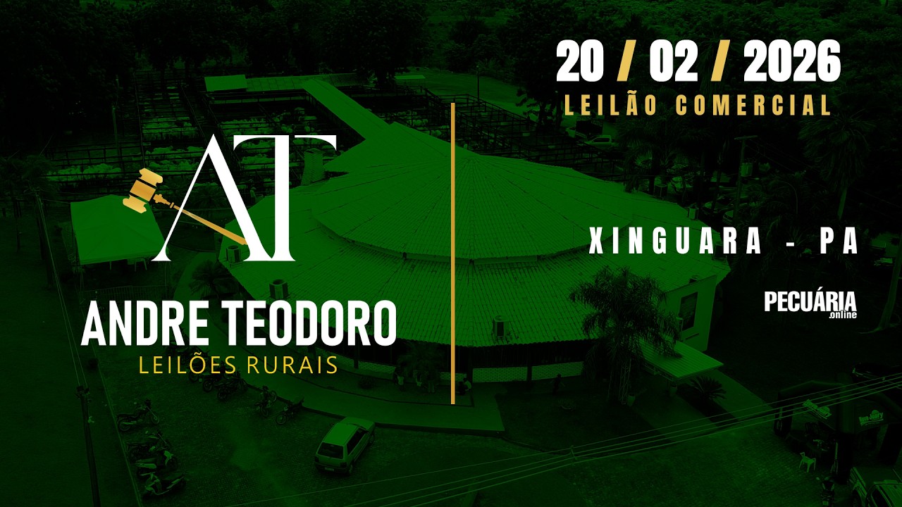 Leilão Comercial - André Teodoro Leilões Rurais - 20/02/2026 - Xinguara/PA