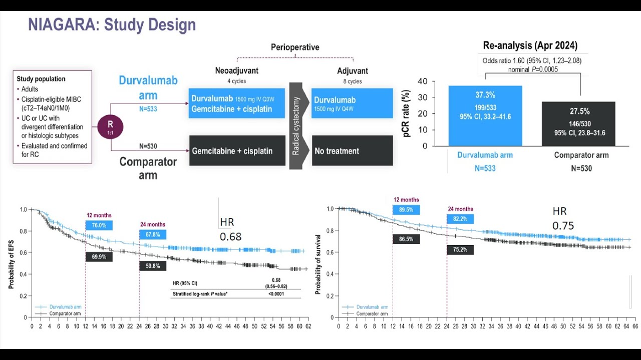 #UromigosLive24 Perioperative UC Panel Part 1: NIAGARA Trial for MIBC - Strengths and Weaknesses