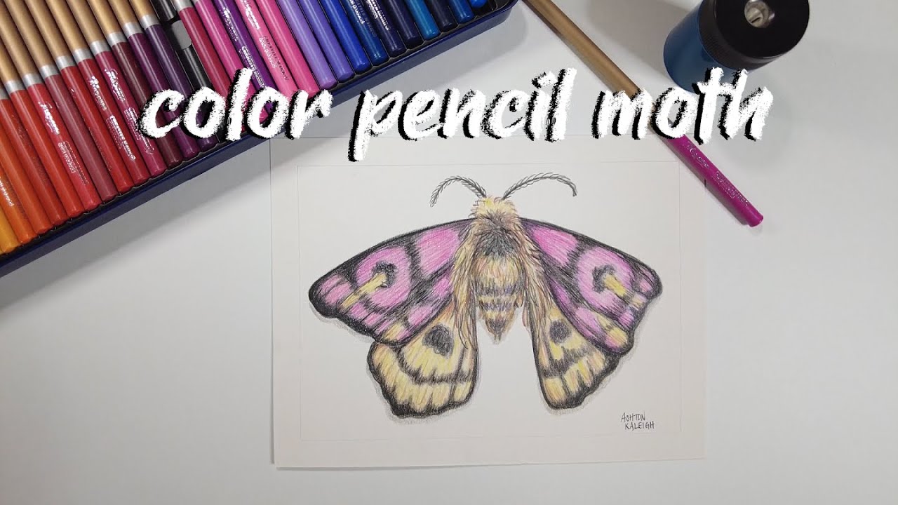 Color Pencil Moth | Cezanne Color Pencil Demo & Moth Symbolism