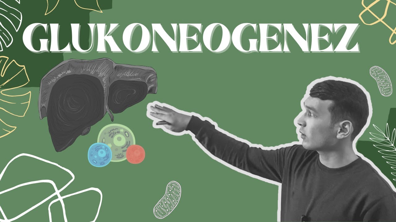 ᴋᴀʀʙᴏɢɪᴅʀᴀᴛʟᴀʀ | ɢʟᴜᴋᴏɴᴇᴏɢᴇɴᴇᴢ