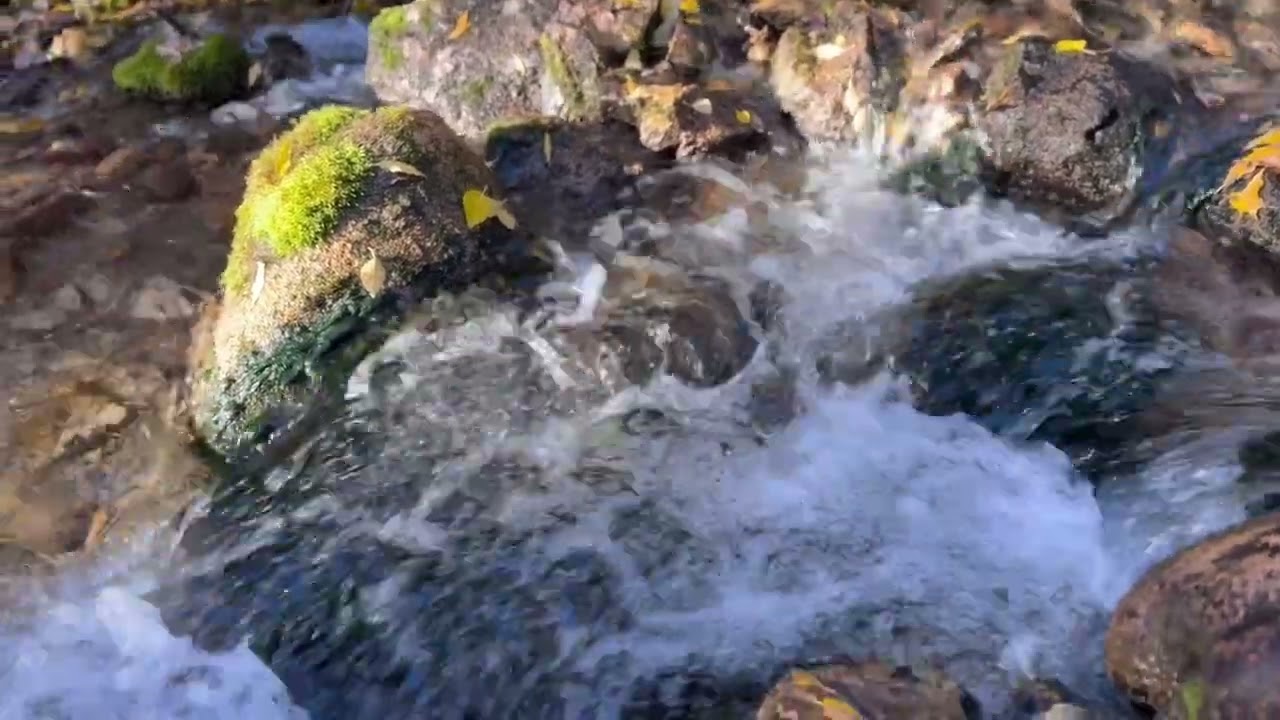Waterfall and Fall Colors Little Cottonwood Creek Utah