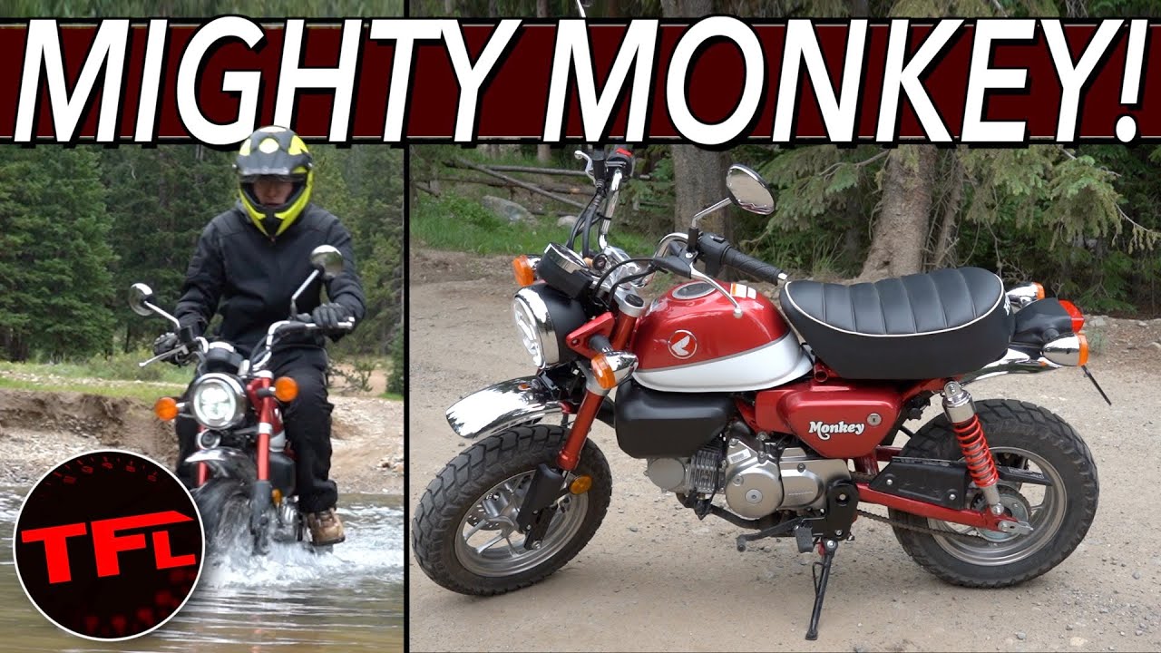 Маленький мотоцикл, огромная гора: я поднимаюсь на Honda Monkey на гору в Колорадо — что может по...