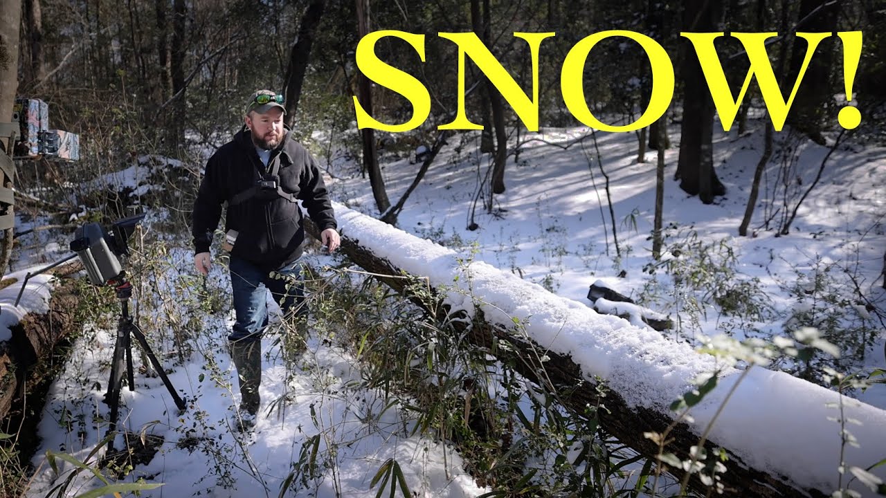 Checking Camera Traps in the Snow!