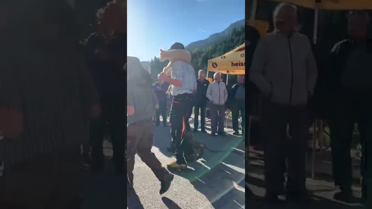 Schafscheid in Jaun - Foire aux moutons à Jaun