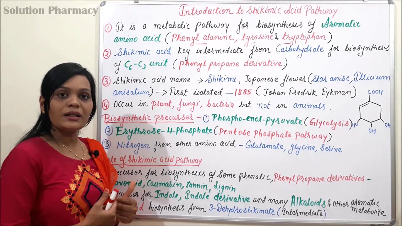 Class (02) = Shikimic Acid Pathway (Part 01) | Introduction and Role of Shikimic Acid Pathway