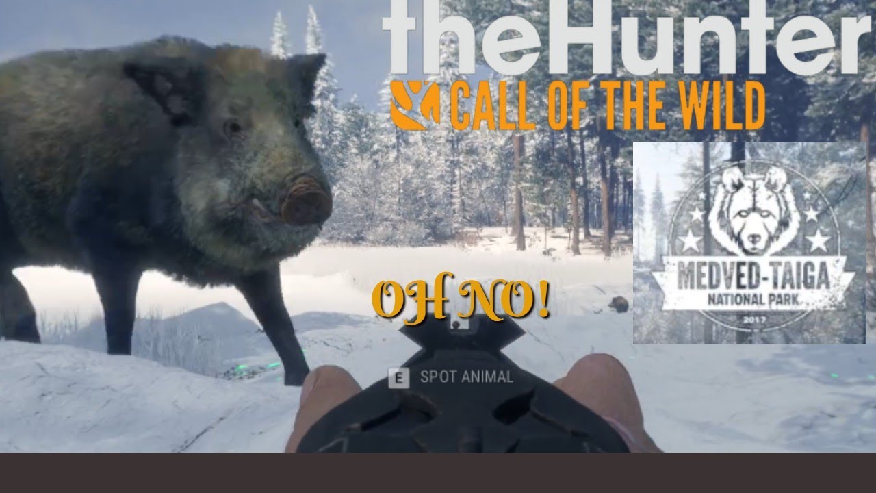 the Hunter Call of the Wild - Medved Taiga DLC - #thehunter