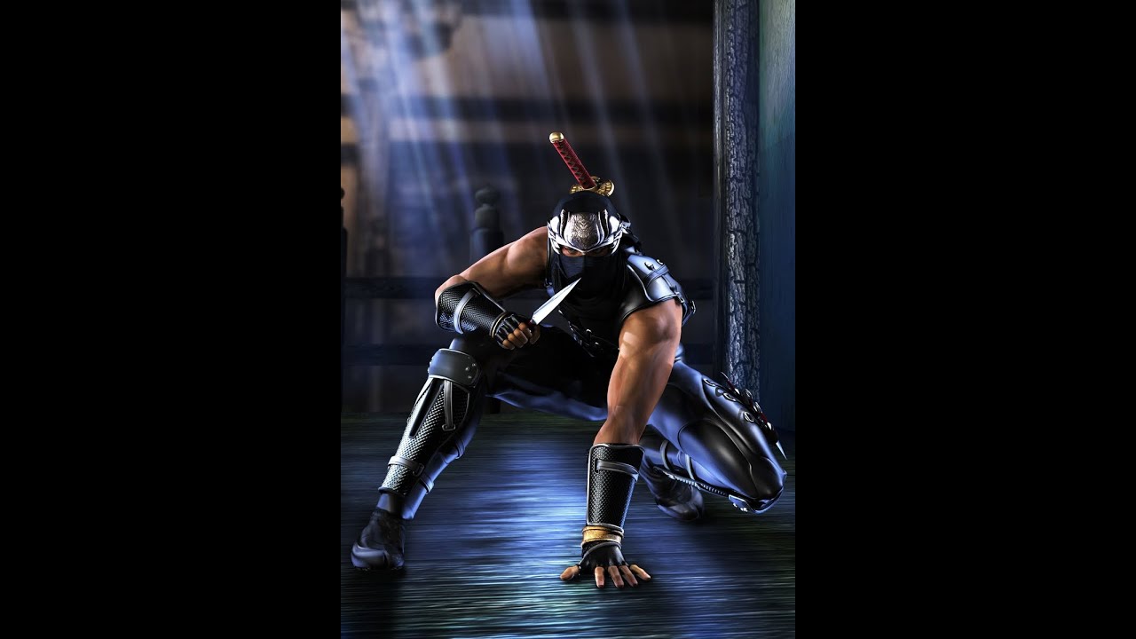 Ninja Gaiden Black Glitch