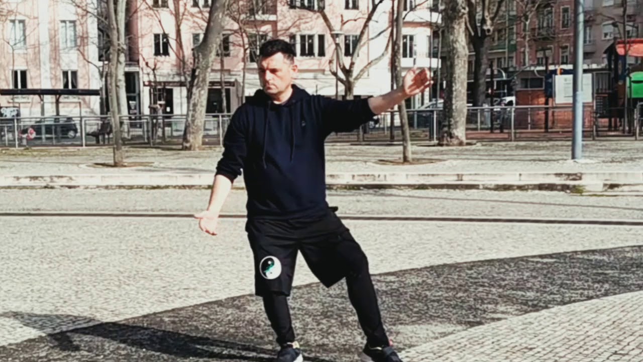 yang tai chi chuan 40