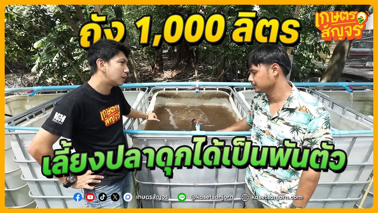 ใครจะคิด! แค่ถัง 1,000 ลิตรก็เลี้ยงปลาดุกได้เป็นพันตัว!  | เกษตรสัญจร