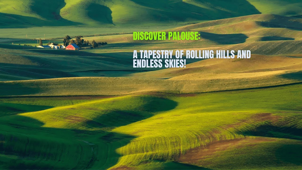Why Palouse, Washington is a Must Visit for Scenic Landscapes & Adventures!