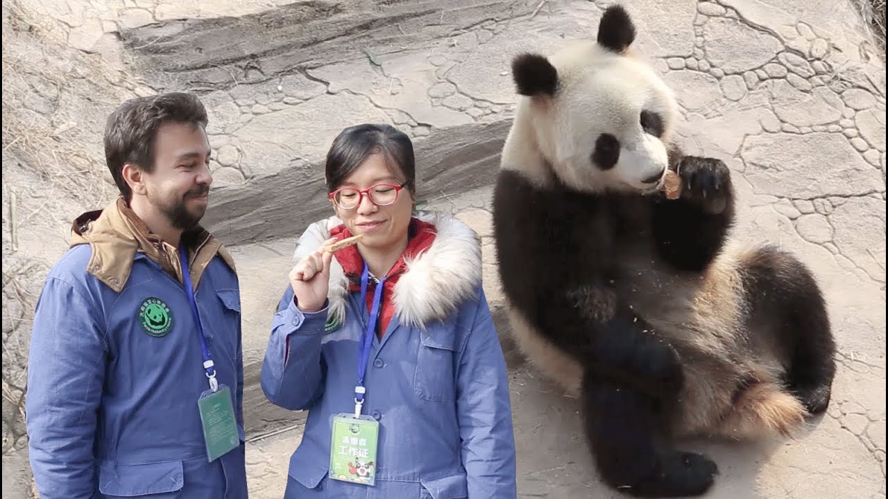COMI O BISCOITO DO PANDA! Viagem à China #3 | Pula Muralha