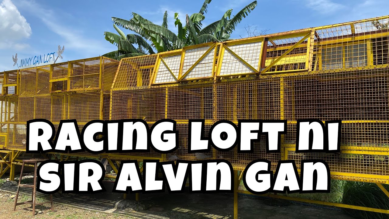 LOFT VISIT KAY SIR ALVIN GAN ANAK NI BOSS JIMMY GAN |Reggie Cruz Loft & Aviary #reggiecruzloft