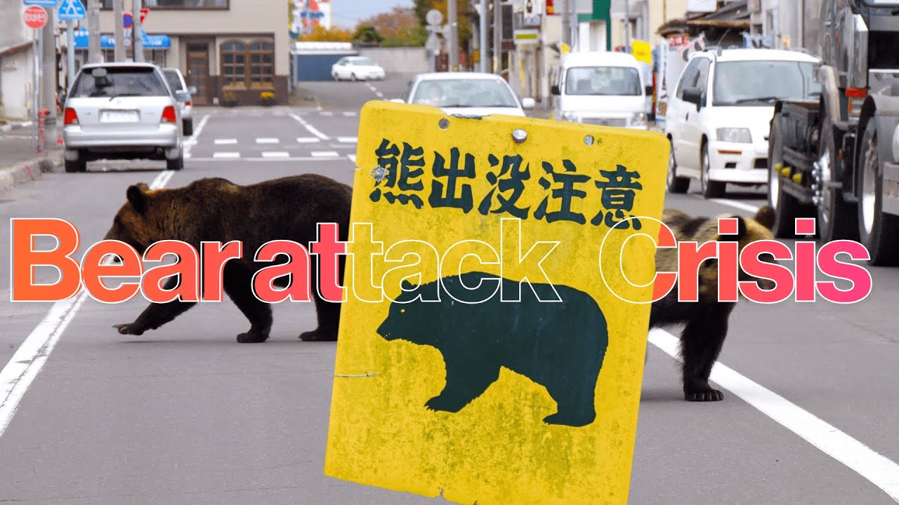 Japan On Alert As Bear Attacks Hit Record Levels