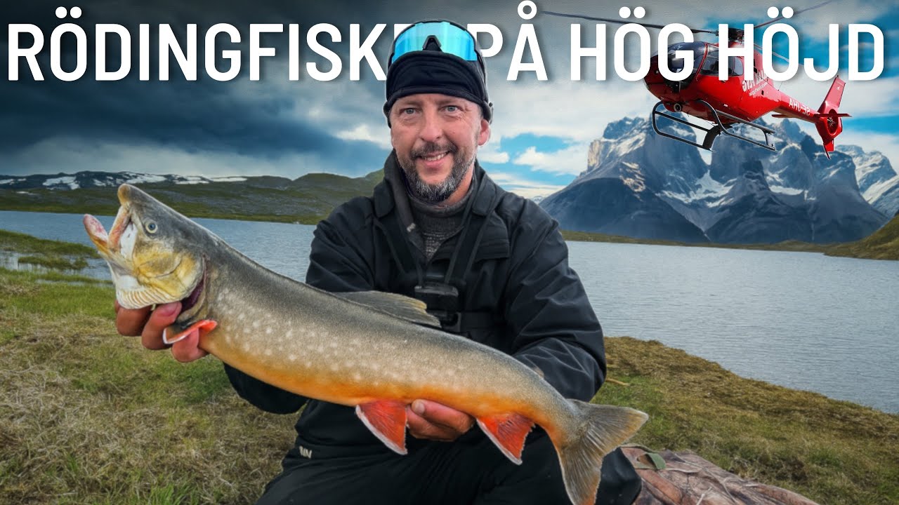 R&Ouml;DINGFISKE P&Aring; H&Ouml;G H&Ouml;JD - Fj&auml;llturen 2025 (English subtitles)