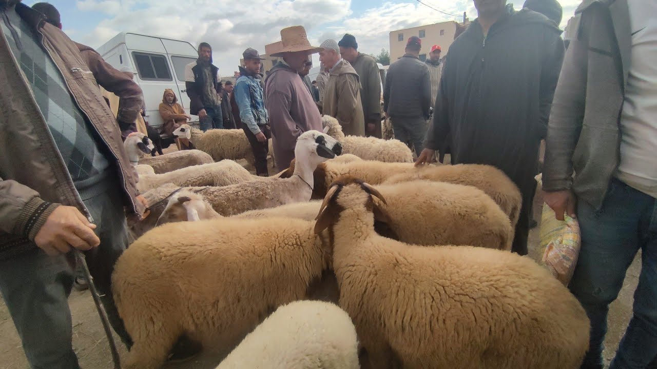 خيرات ثلاتاء قرية با محمد حولي العيد الرخى لله