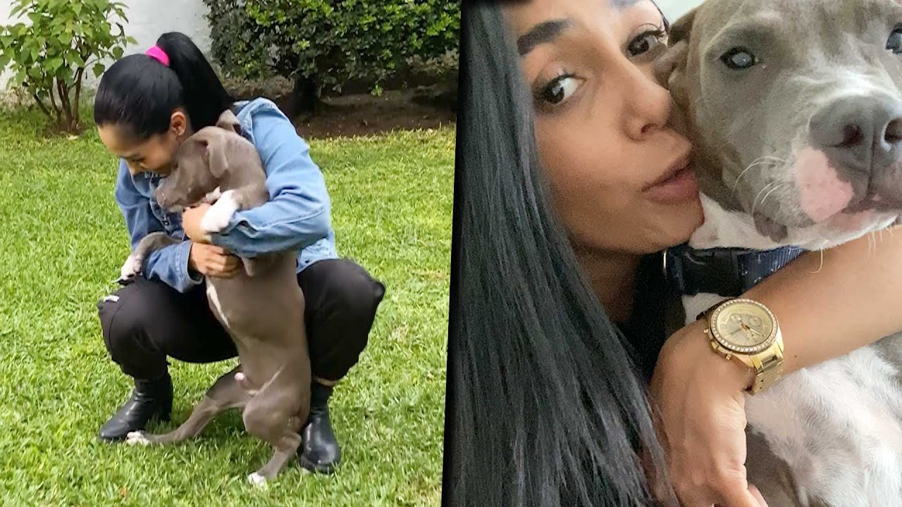 Así luce hoy el primer perrito que rescaté