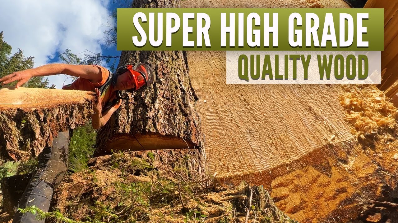 Super High Grade Quality wood |
