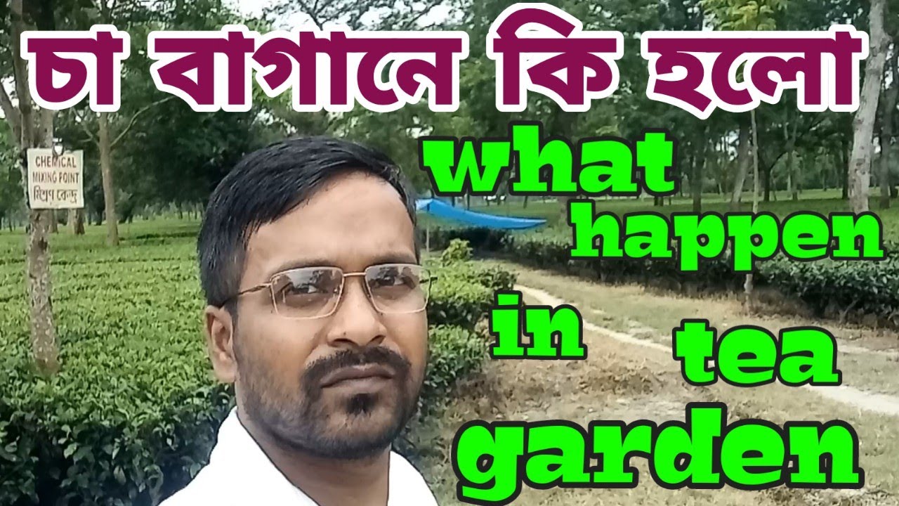 bamanhat to Falakata TEA GARDEN via garhkata masanbabar mandir with Feel the unknown./ part one.....