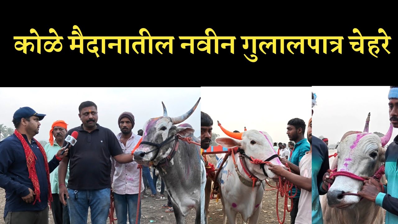कोळे मैदान 2026