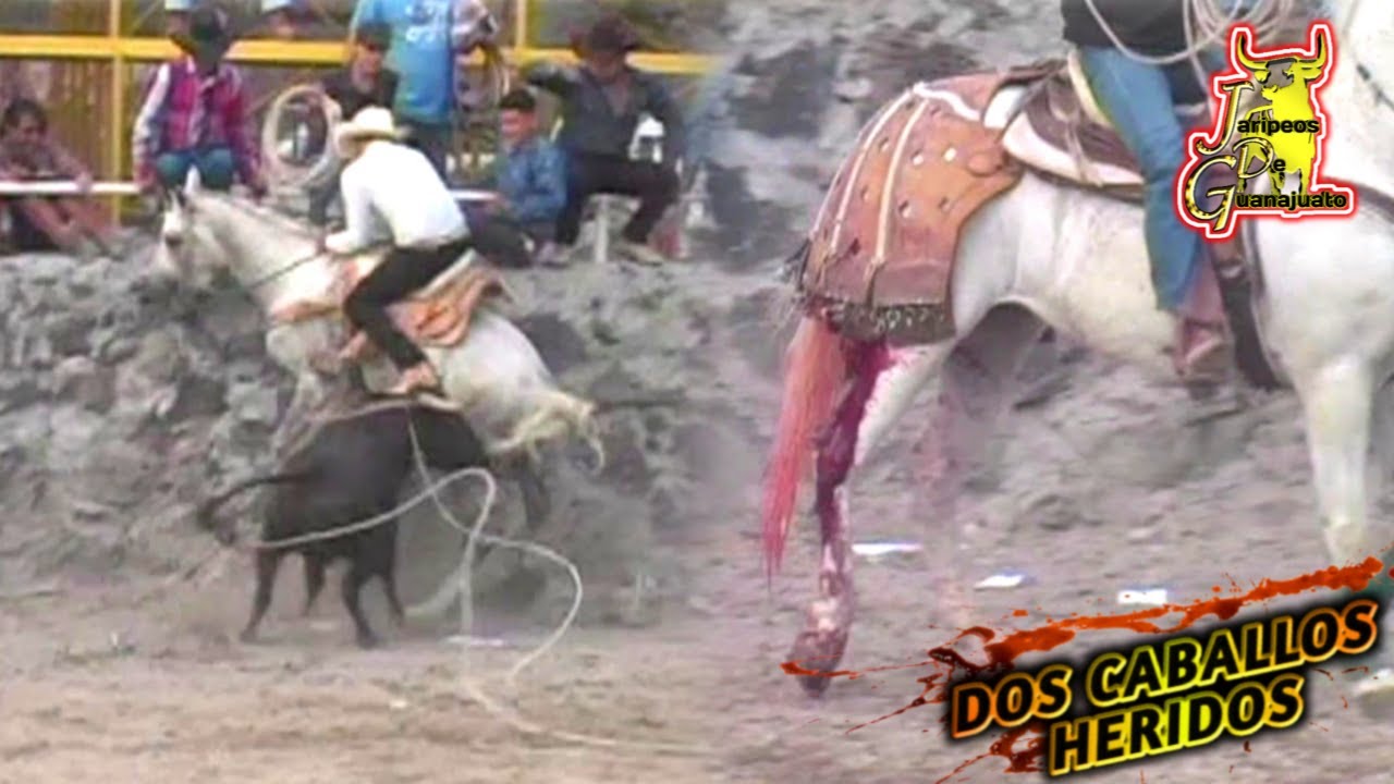 &iexcl;&iexcl;DOS CABALLOS CAYER&Oacute;N EN LA MISMA JUGADA, EL DESPRECIADO DE CHAVA LEMUS EN MICHINELAS,GTO 2015!!