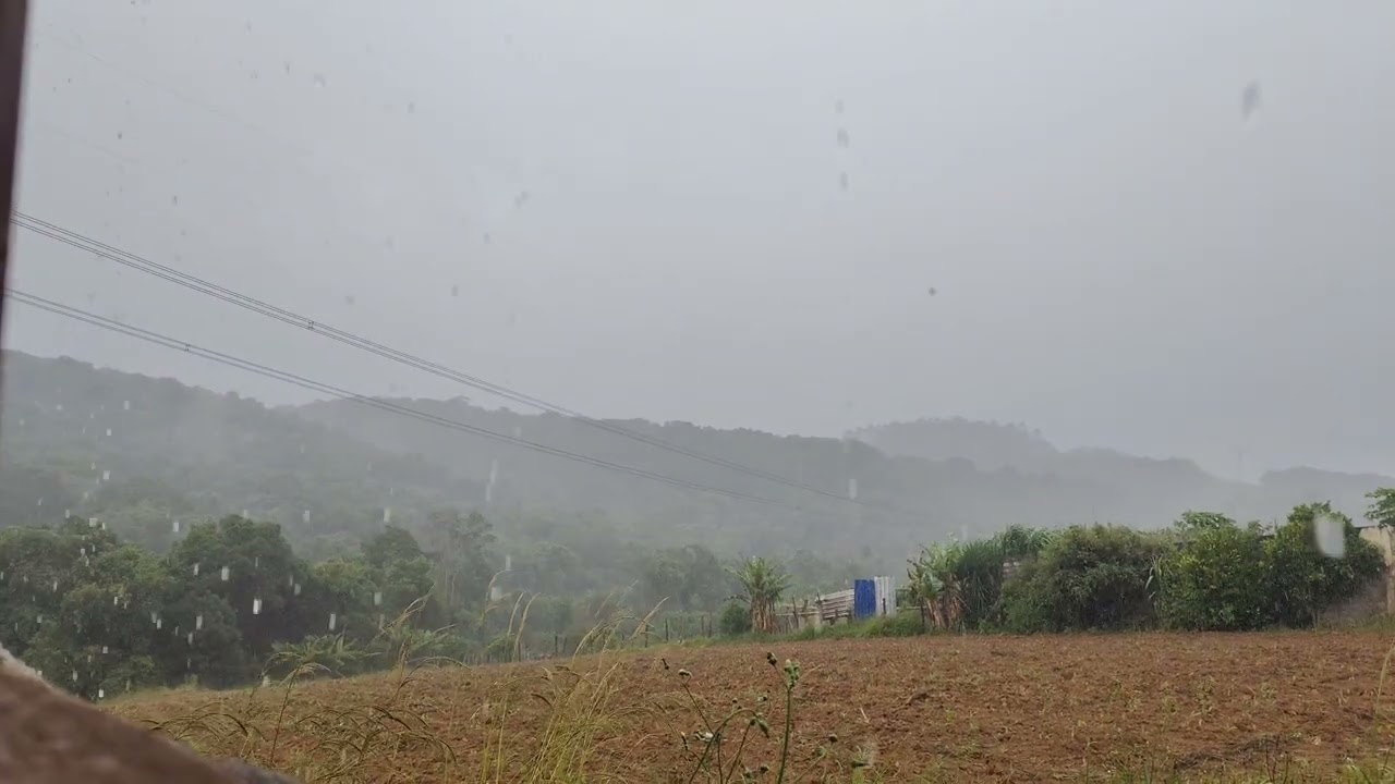 Dia de chuva, dia de gratidão!!! #masseyferguson #farming #chuva 