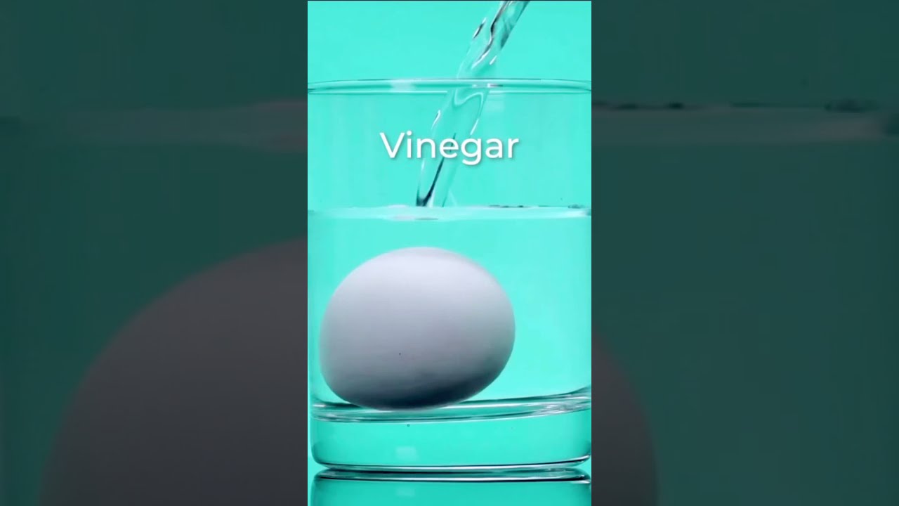 Do you have Vinegar? Make this experiment with an Egg! #shorts
