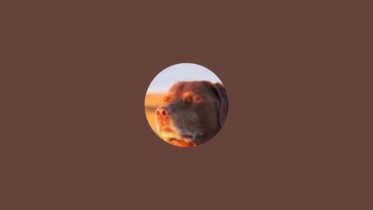 I AM TIRED (SO FREE FIRE)