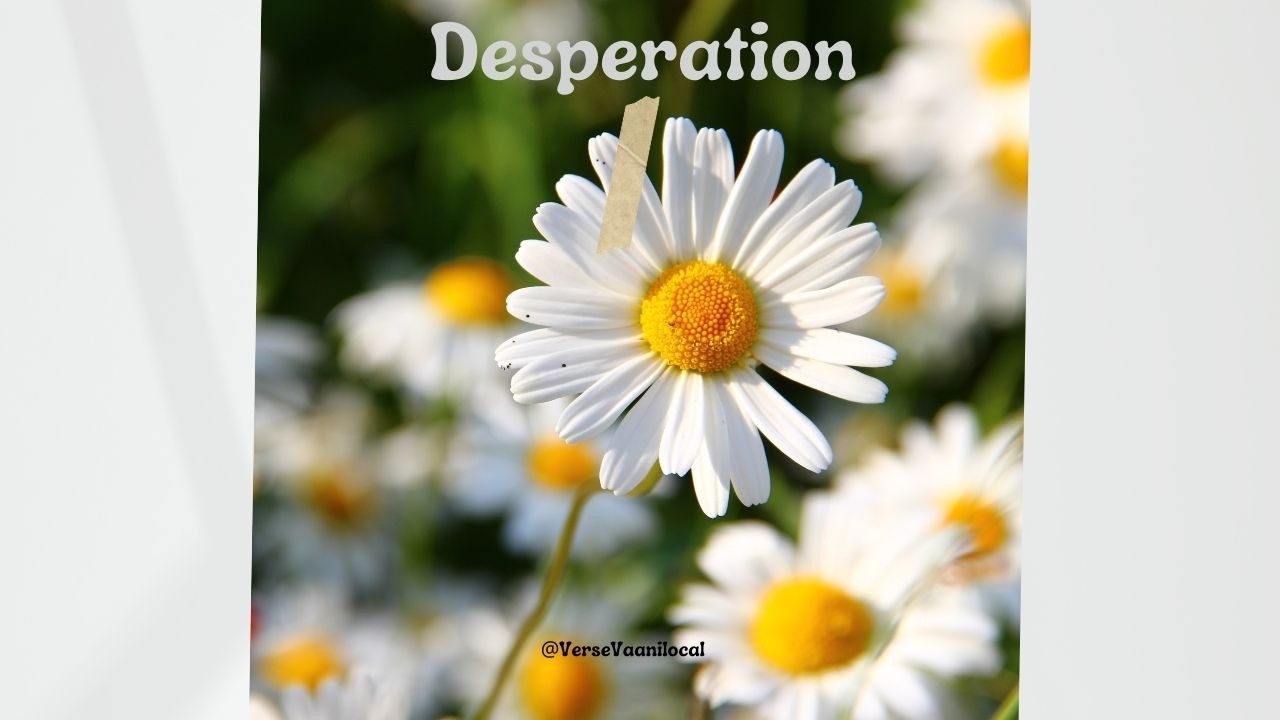 Desperation – Sad Lofi Rap Beat | Free For Profit | Talha Type Lofi Rap Beat