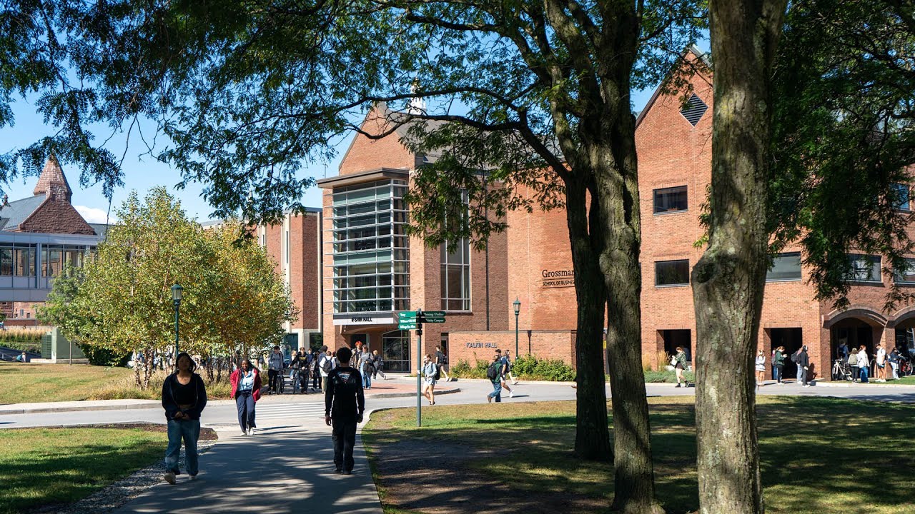Master of Accountancy at The University of Vermont's Grossman School of Business