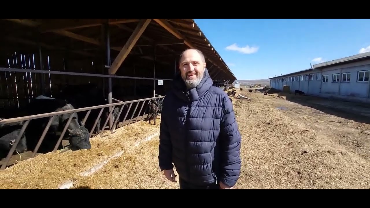 El îngrijește 500 vaci Angus. Carnea ajunge în Băcănia Boierească
