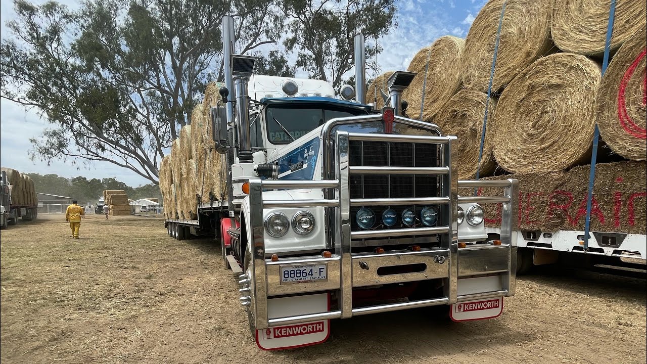 Aussie hay runner and need for feed 2026 Alexandra 