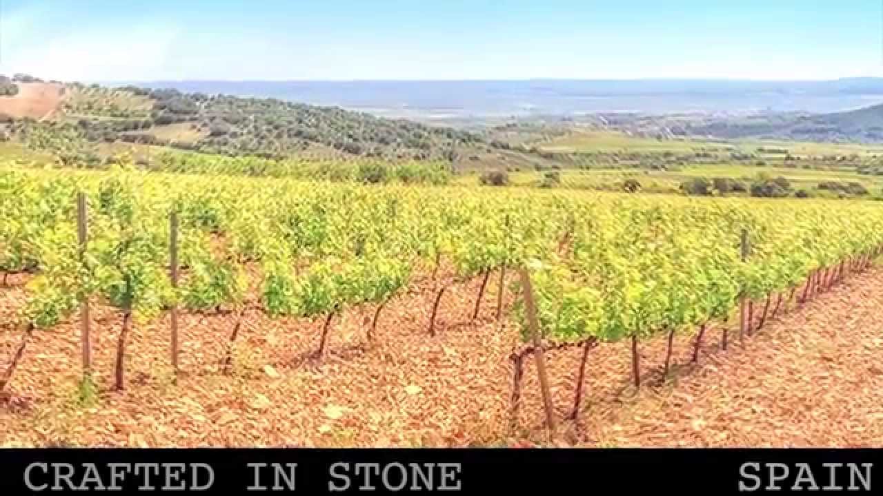 Vineyards of Cari&ntilde;ena