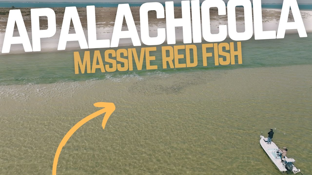 Catching the BIGGEST Redfish in Apalachicola!!